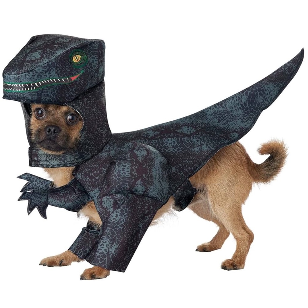 California Costumes Pupasaurus Rex dog costume - Brand New - Medium - Dinosaur